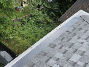 Gutter Protection, Leaf Guard & Leaf Filter Systems